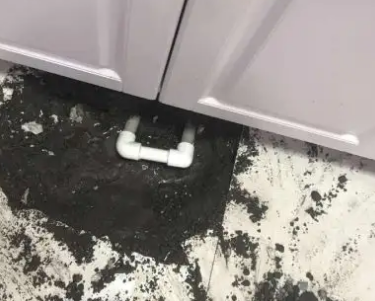 阿巴嘎旗查漏水哪家好